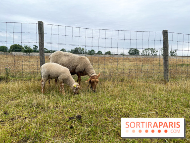 La ferme de Saint-Cyr l'Ecole - image00043