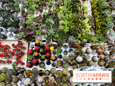 La ferme de Saint-Cyr l'Ecole - image00001