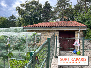Le parc Georges Brassens, pour se croire à la campagne dans le 15e - image00026