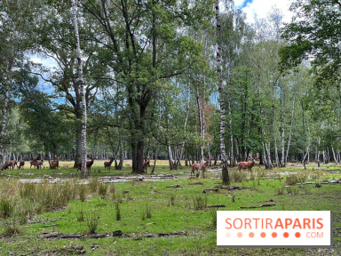 Espace Rambouillet - IMG 4529