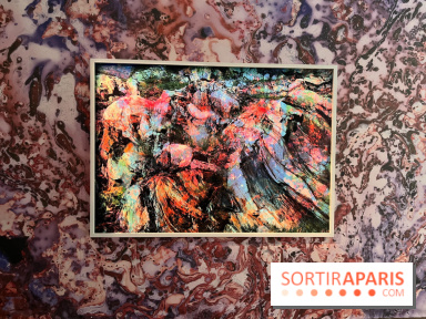 Poetry of Earth de Maya Rochat - image00004