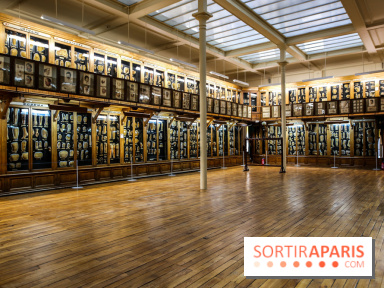 Musée des Moulages à Paris, nos photos