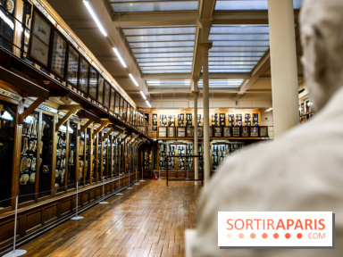 Musée des Moulages à Paris, nos photos - IMG 0845