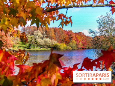 Bassin - étang de la Boissière à Elancourt