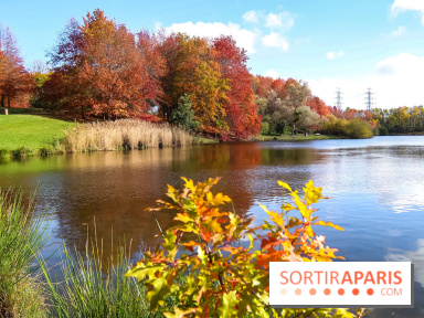 Bassin - étang de la Boissière à Elancourt