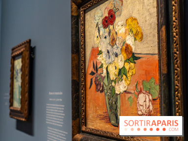 Exposition Van Gogh au Musée d’Orsay - Auvers-sur-Oise, les derniers mois -  A7C3090