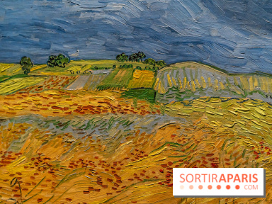 Exposition Van Gogh au Musée d’Orsay - Auvers-sur-Oise, les derniers mois
