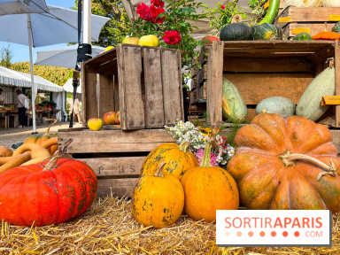 Automne au Potager du Roi - Citrouilles - Halloween