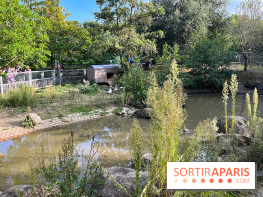 La ferme pédagogique du parc des Chanteraines - image00038