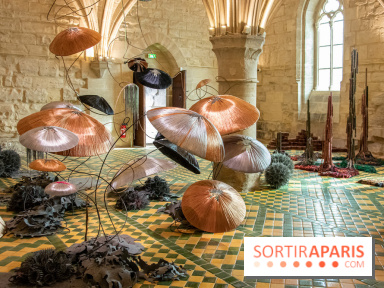 Exposition Entre Les Murs de Tanja Smeets et Karin van Dam Abbaye de Maubuisson