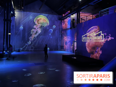 Océans, l'Odyssée Immersive à l'Atelier des Lumières - IMG 6095