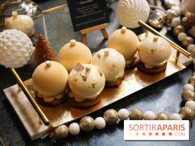 Les Bûches de Noël IG Bas des Belles Envies 2023 - IMG 2780