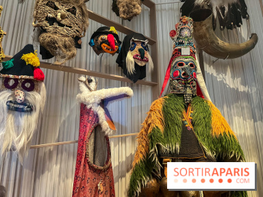 Le musée de l'Homme - collections permanentes - image00062