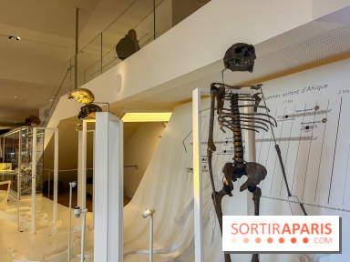 Le musée de l'Homme - collections permanentes - image00052