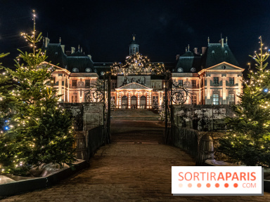 Le Grand Noël au Château de Vaux le Vicomte 2023 - photo -  A7C8416