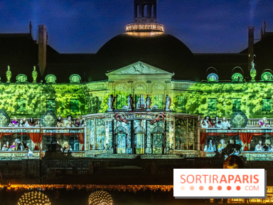 Le Grand Noël au Château de Vaux le Vicomte 2023 - photo -  A7C8398