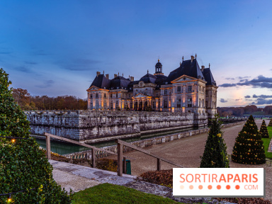 Le Grand Noël au Château de Vaux le Vicomte 2023 - photo -  A7C8362