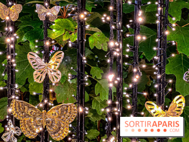 Les illuminations de Noël 2023 de l'Avenue Montaigne - cérémonie et décors féériques - image00070