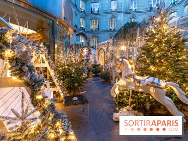 Le Tea Time du Joy à l'Hôtel Fouquet's sur sa terrasse d'hiver enchantée -  A7C9659