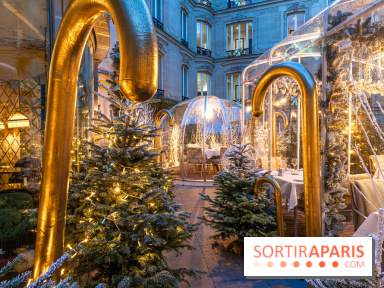 Le Tea Time du Joy à l'Hôtel Fouquet's sur sa terrasse d'hiver enchantée -  A7C9661