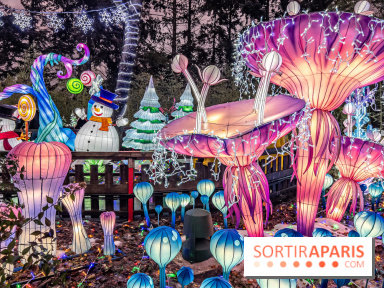 Noël au Parc Astérix 2023, sentier de lumières et patinoire - IMG 4996