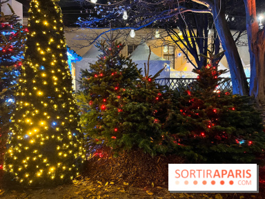 Bel Hiver 2023 à Saint-Denis - nos photos - image00013