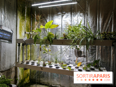 La Caverne, ferme urbaine bio à Paris, nos photos - IMG 2208