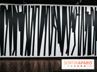 Tania Mouraud, nos photos de son expo à Fluctuart - IMG 2704