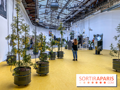 Exposition Signal de Mohamed Bourouissa au Palais de Tokyo - IMG 4531