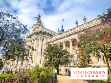 Visuel Paris 8e - Grand Palais