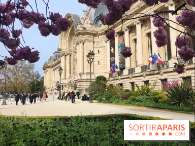 Visuel Paris 8e - Petit Palais printemps cerisiers fleurs 