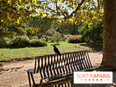 Visuel Paris 5e - corneille corbeau jardin des plantes