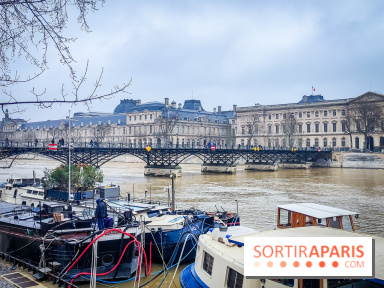 Visuel Paris 6e - Seine Pont des Arts hiver