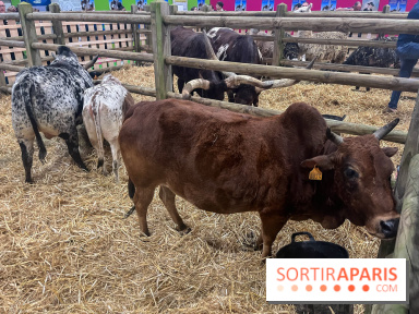 Salon de l'agriculture 2024 - image00002