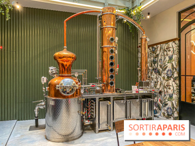 La Distillerie de l’Arbre Sec : l'atelier de création de gin à deux pas du Louvre