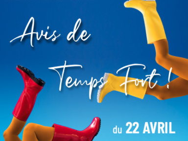 Avis de Temps fort, festival