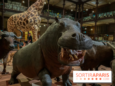 Grande Galerie de l'évolution- visuels 2024 - image00042