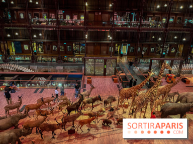 Grande Galerie de l'évolution- visuels 2024 - image00028