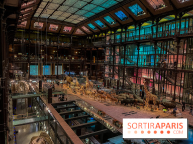 Grande Galerie de l'évolution- visuels 2024 - image00002