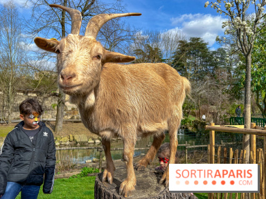 Visuels enfants, attractions, parc, Jardin d'Acclimatation, animaux, zoo