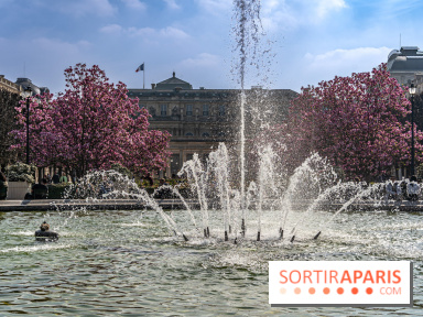 Les magnolias du Jardin du Palais Royal  - printemps - visuel Paris - fontaine - chaleur - beau temps