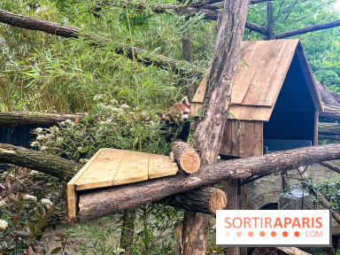 Ménagerie du Jardin des Plantes 2024 - nos photos - image00019