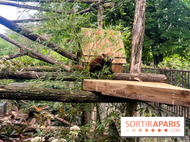 Ménagerie du Jardin des Plantes 2024 - nos photos - image00012