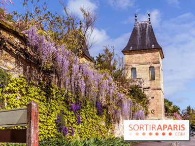 Village de Medan dans les Yvelines -  château de Medan - glycine