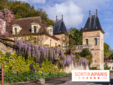 Village de Medan dans les Yvelines -  château de Medan - glycine