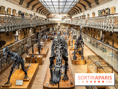 La Galerie de Paléontologie et d'Anatomie comparée du Muséum au Jardin des Plantes