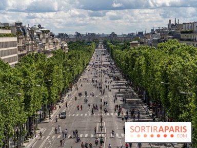 Grand pique nique des Champs-Élysées - photos