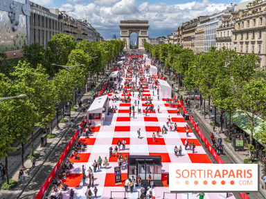 Grand pique nique des Champs-Élysées - photos