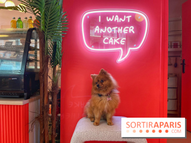 Casa del Doggo