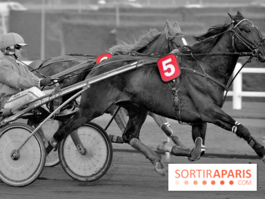 Les Courses spectacle de l'Hippodrome Paris-Vincennes